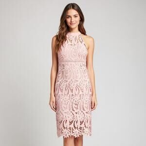 Bardot Womens US 8 Blush Pink Lace Halter Midi Dress Sheath Formal